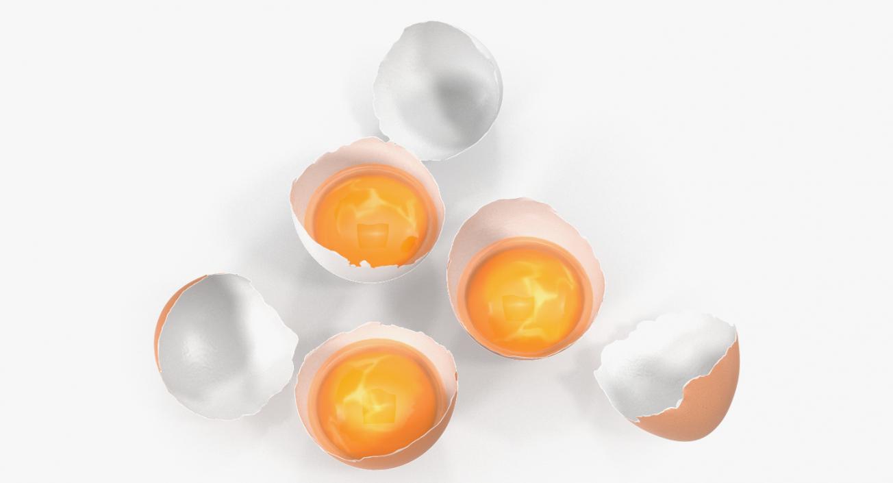 Broken Chicken Eggs 3D model