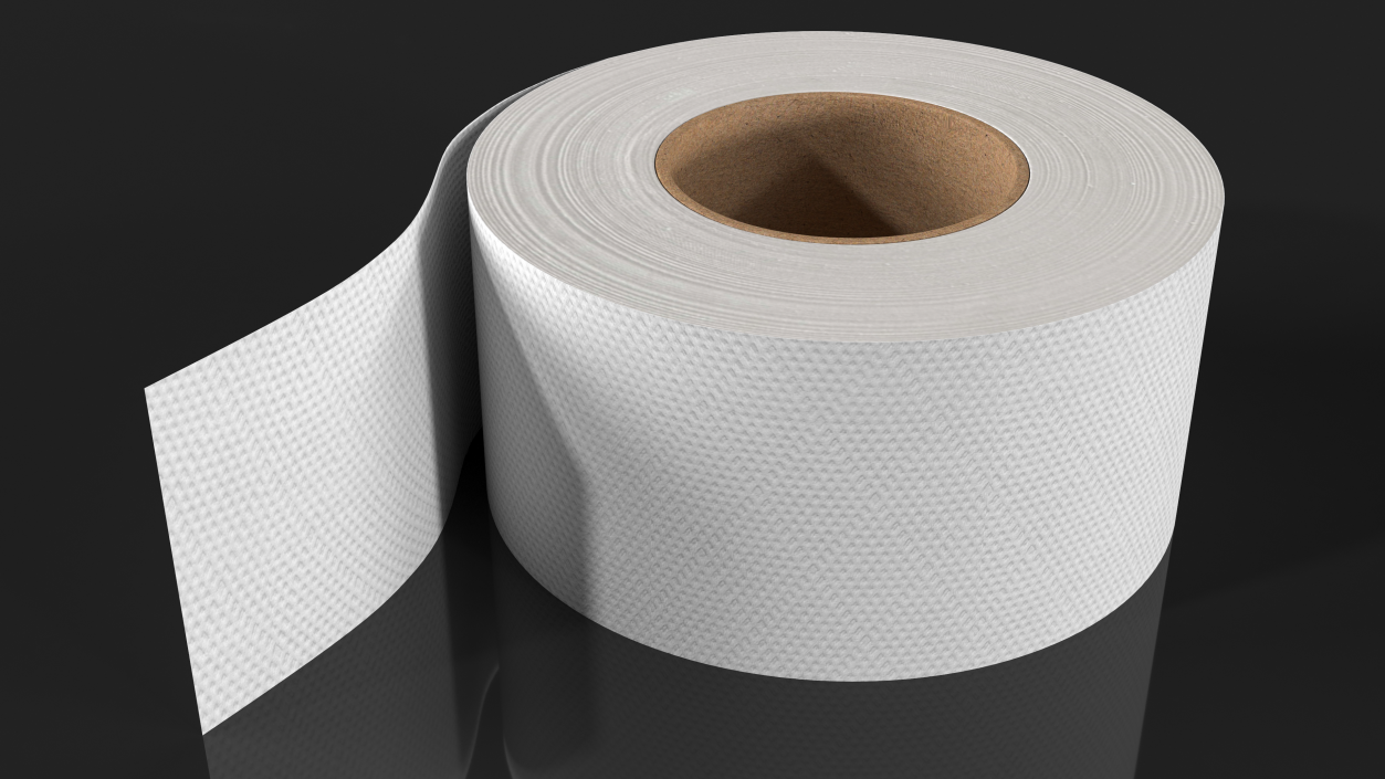 Jumbo Roll Toilet Tissue 3D model