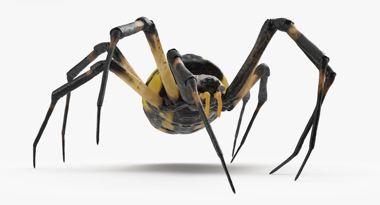 3D model McKinley Spider