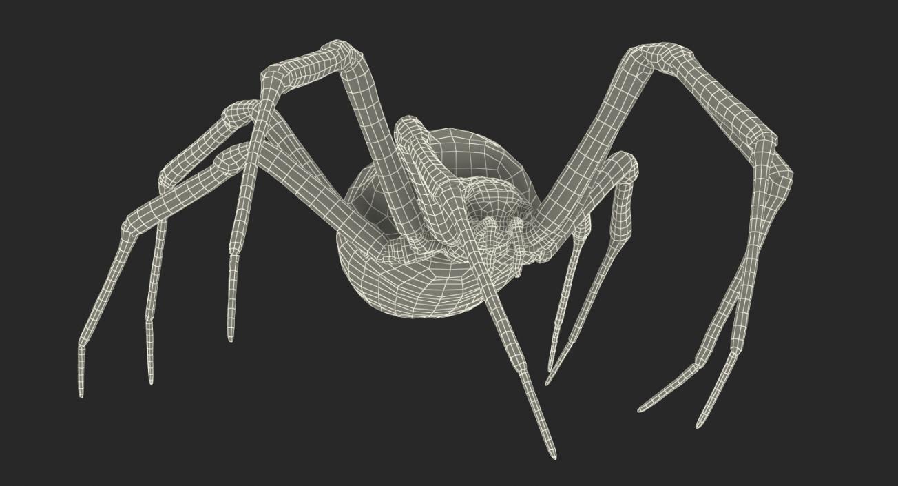 3D model McKinley Spider