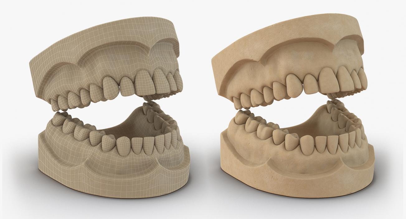 Dental Collection 3D