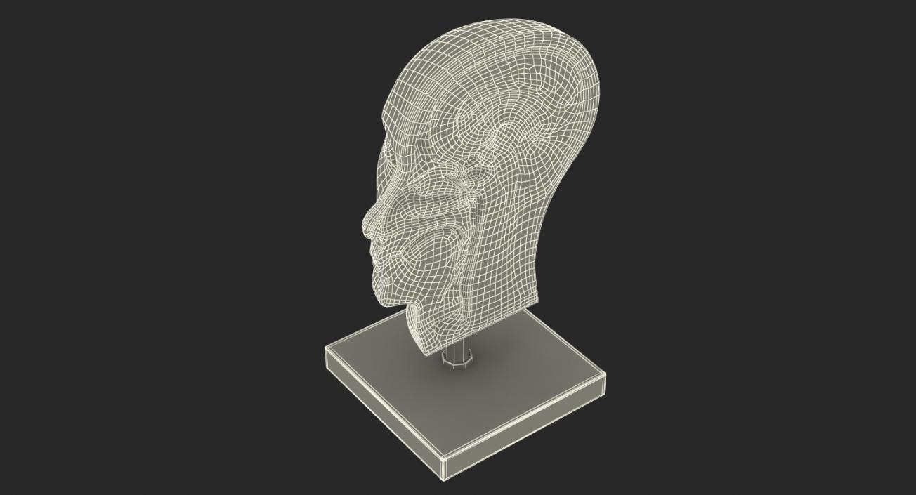 Section Of Human Head Anatomy 3D model