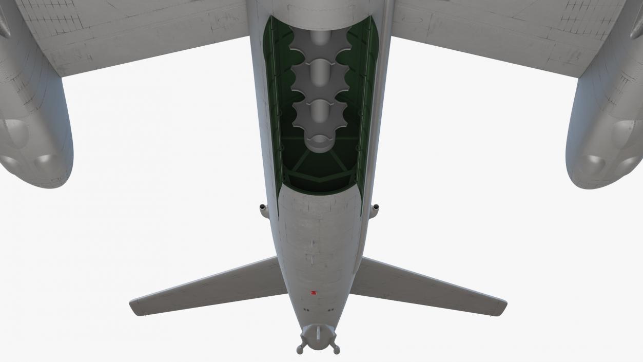 3D Strategic Missile Carrier Tu-95MC Bear Simple Interior Rigged