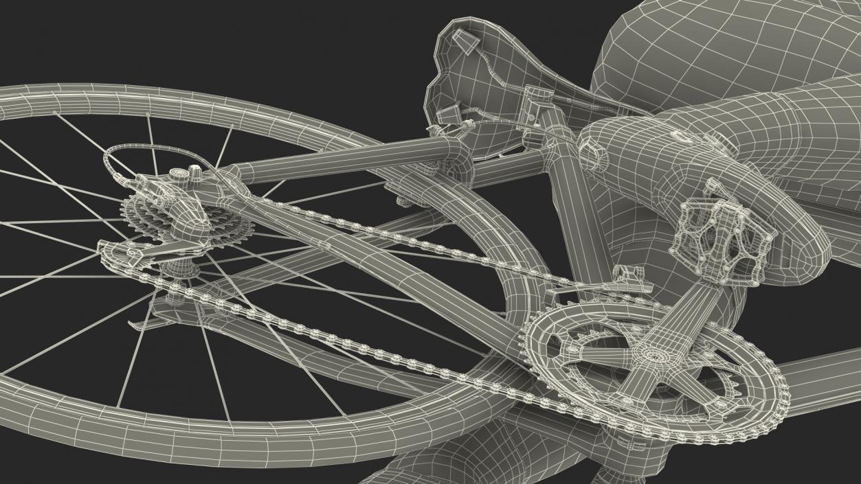 3D Bicyclist Riding Bike