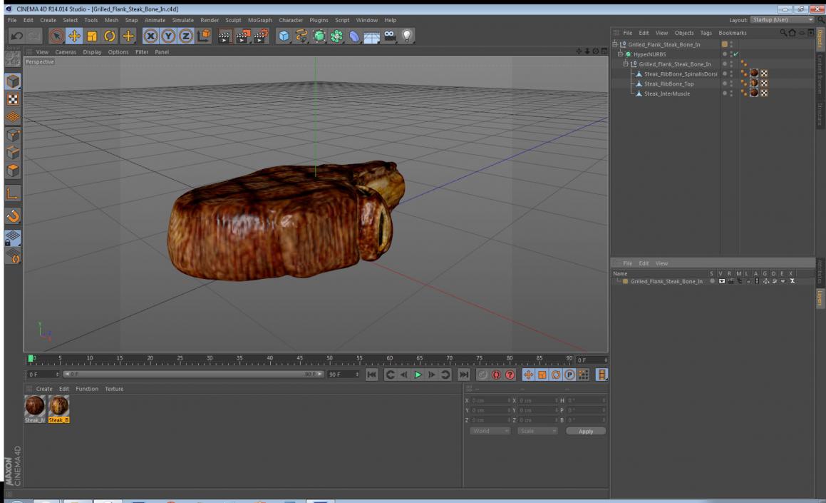 Grilled Flank Steak Bone In 3D