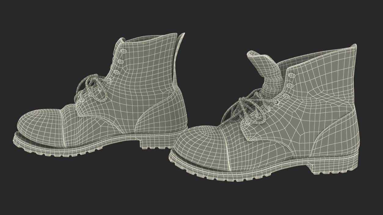Old Boots 3D model
