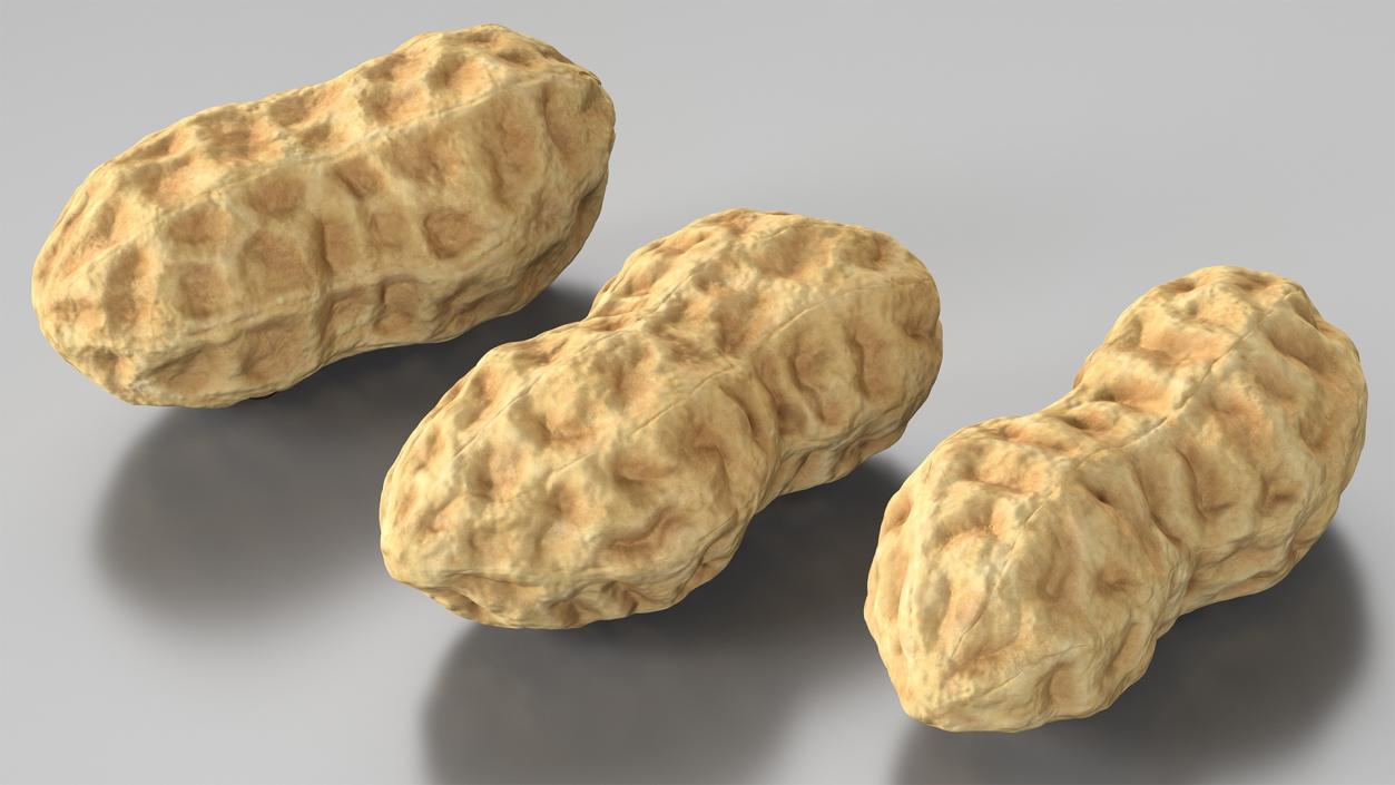 3D Whole Peanuts model
