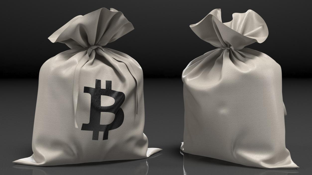 Money Bag Bitcoin 3D