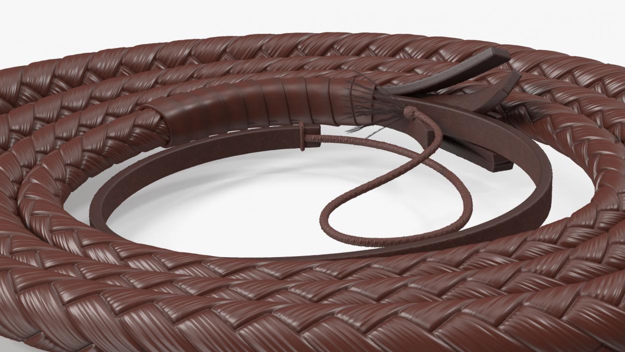 Brown Cowboy Whip Curved 3D model