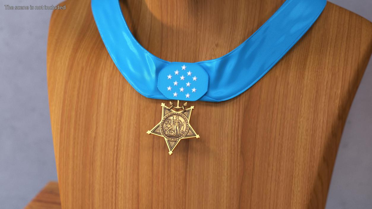 US Navy Medal of Honor Worn 3D