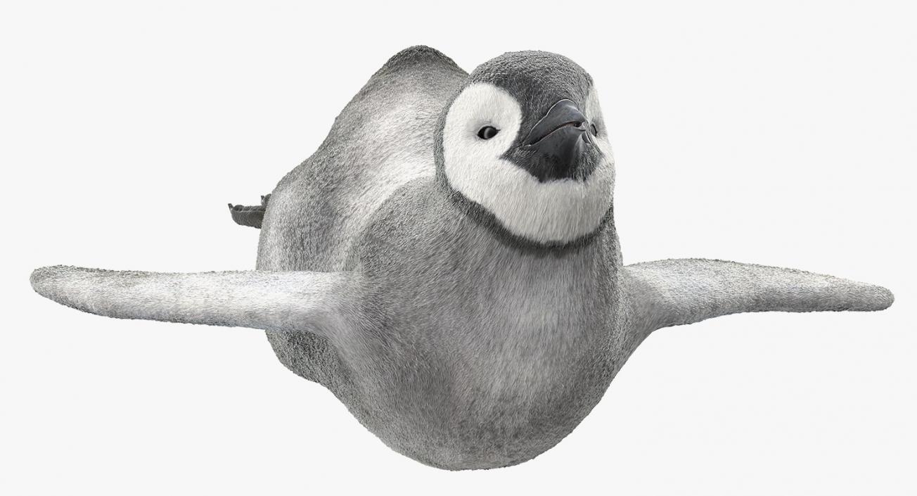 3D Penguin Baby Swimming Pose