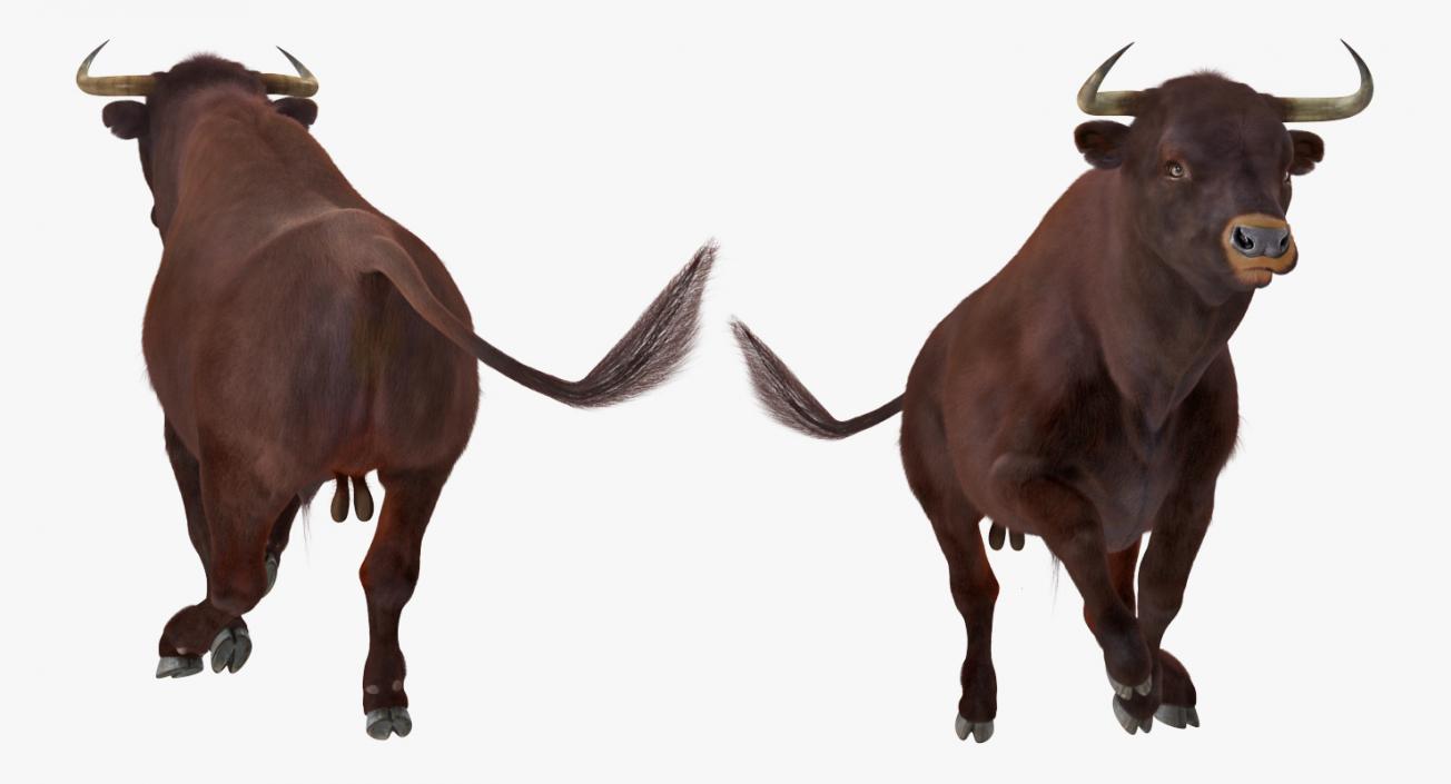 3D Bull Running Pose with Fur