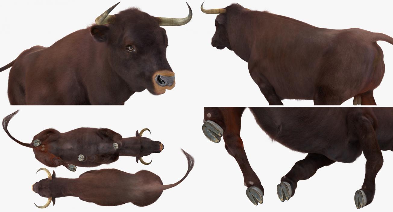 3D Bull Running Pose with Fur