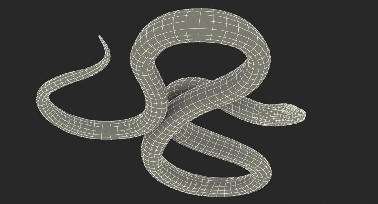 3D Coiled Black Snake model