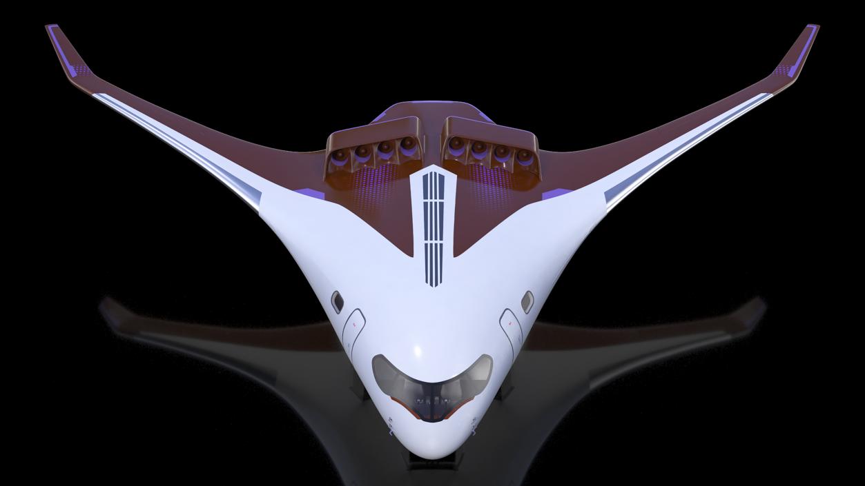 Ecological Aircraft Blended-Wing Body 3D