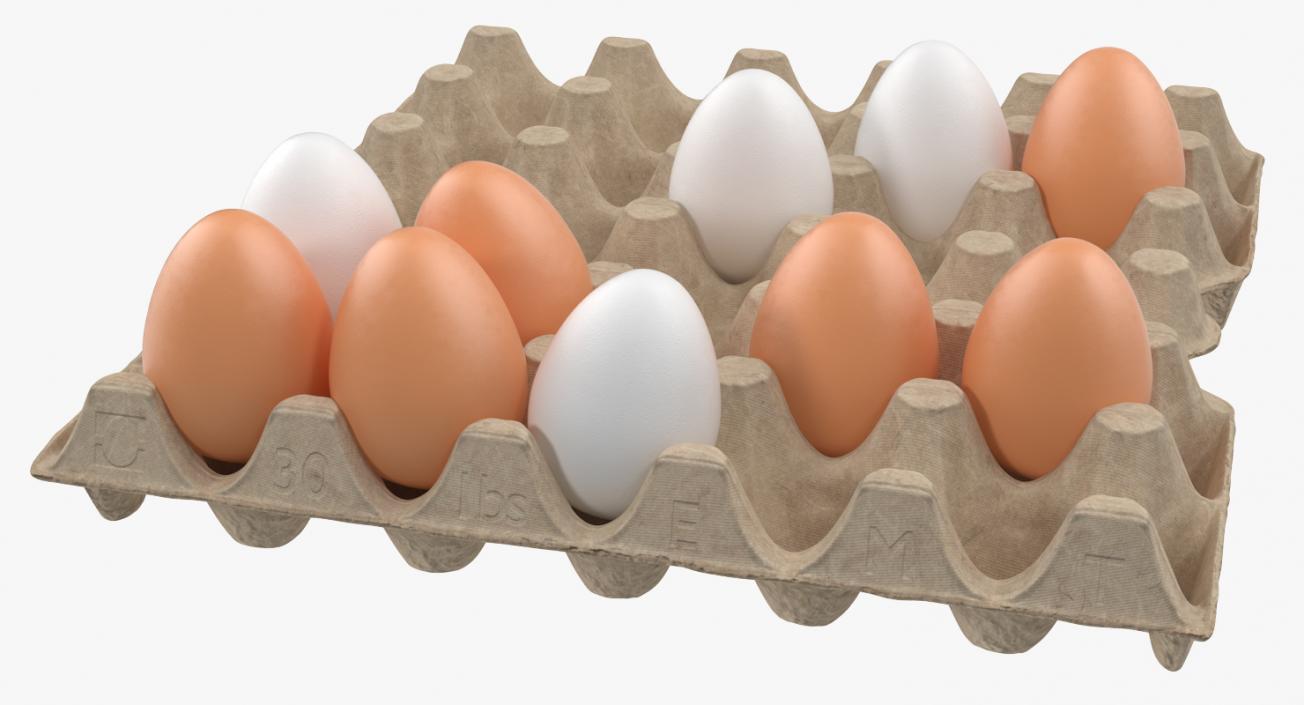 3D model Carton 30 Cells Cardboard with Eggs