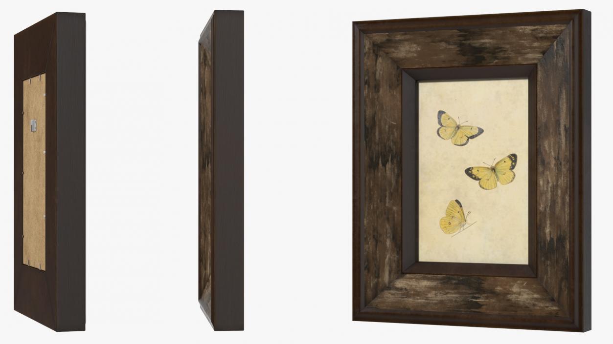 3D Rustic Wooden Frame with Butterflies