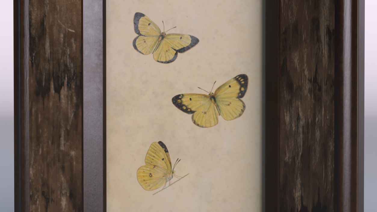 3D Rustic Wooden Frame with Butterflies