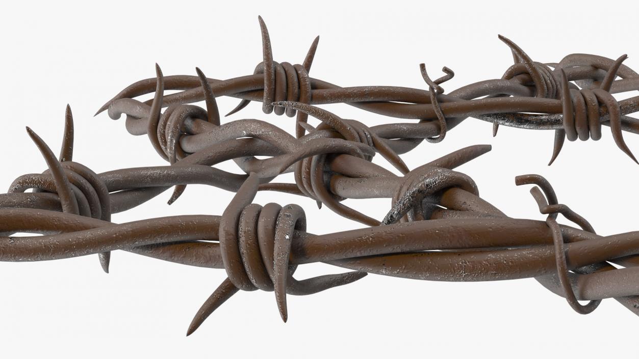 3D Star of David made from Barbed Wire Rusty