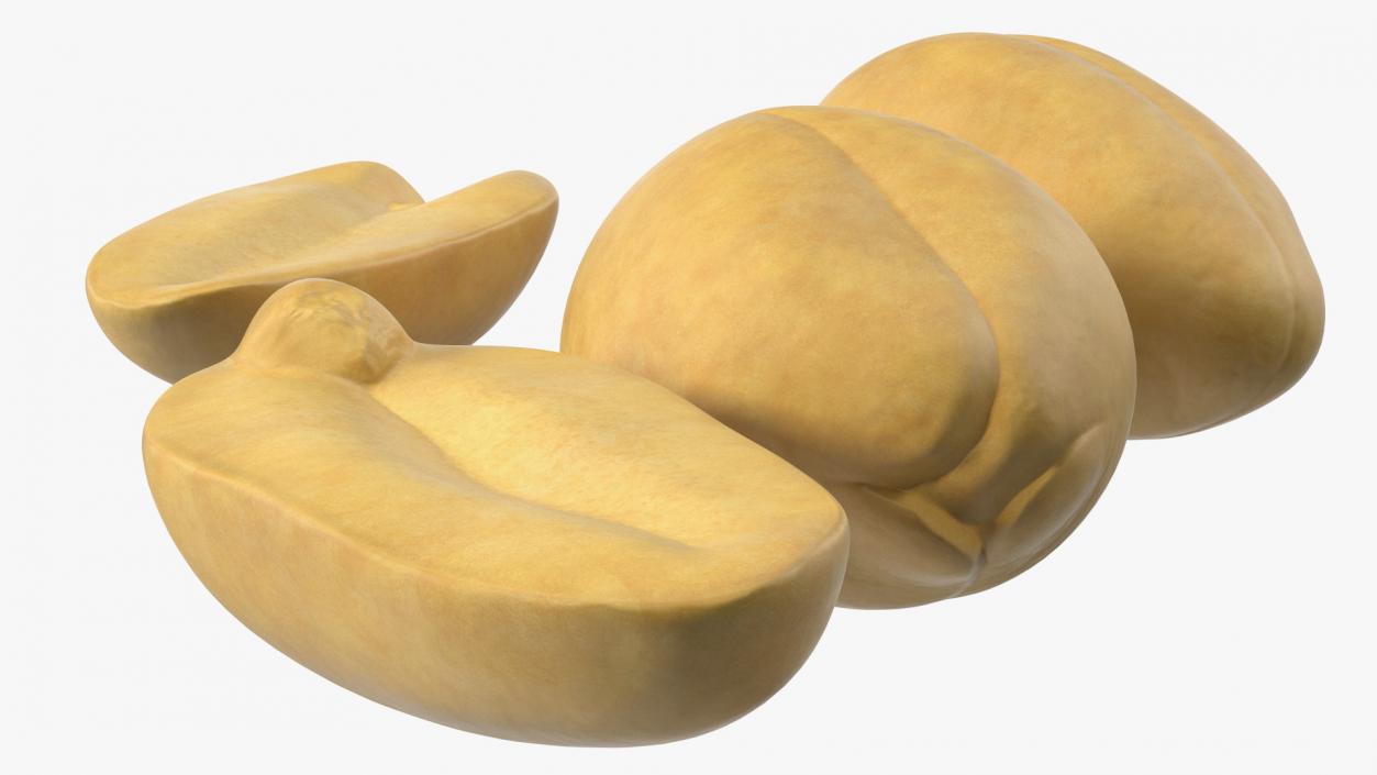 3D Raw Peeled Peanuts model