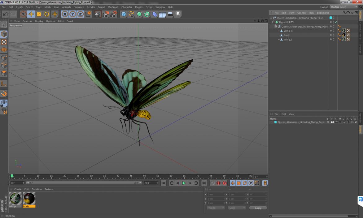 Queen Alexandras Birdwing Flying Pose 3D