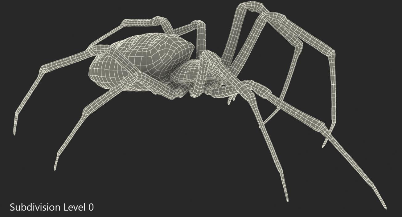 Golden Garden Spider with Fur 3D model