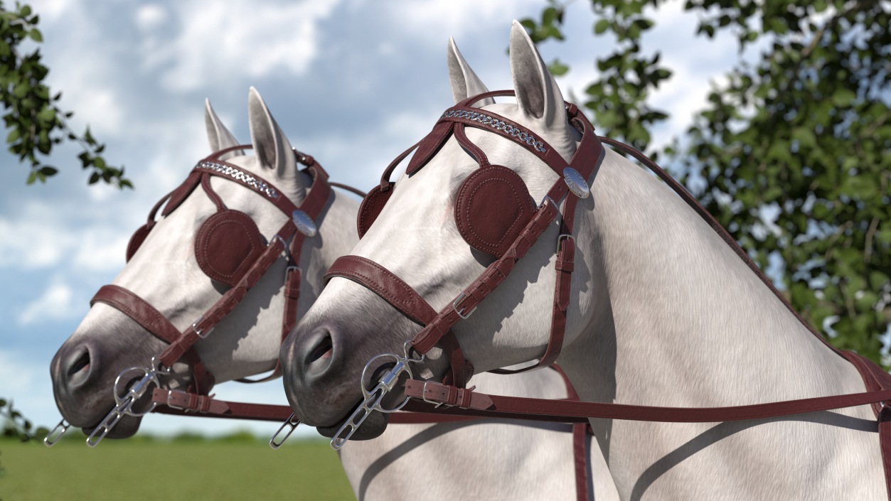 3D Pair Of White Horses with Wagon
