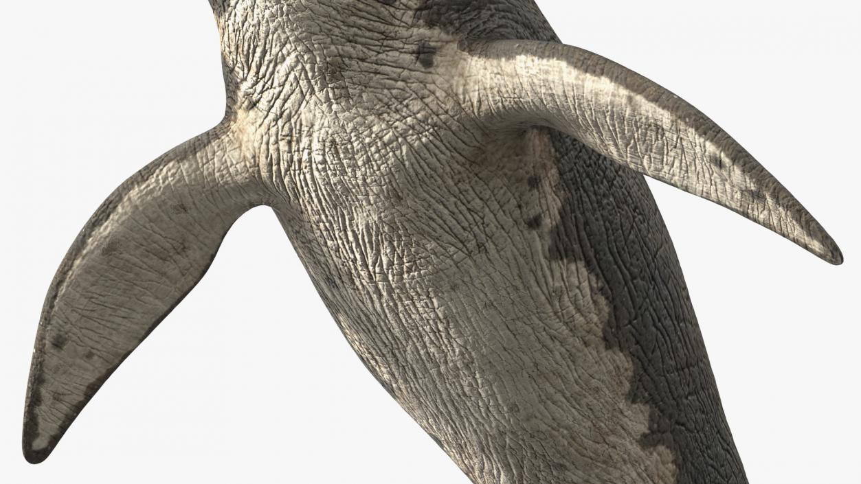 3D model Mosasaurus Idle