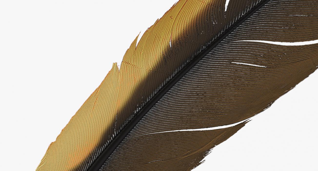 3D Quill Dark Feather Ink Set