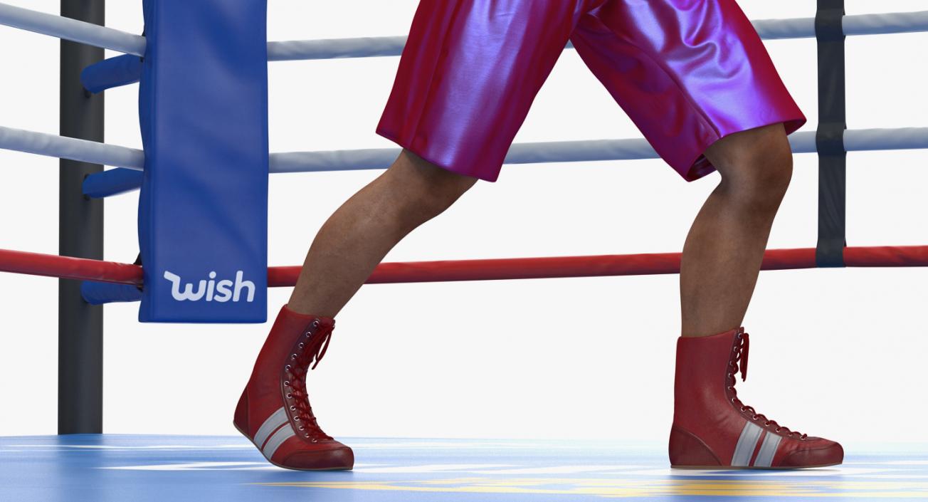 3D model Boxers Fighting In Boxing Ring