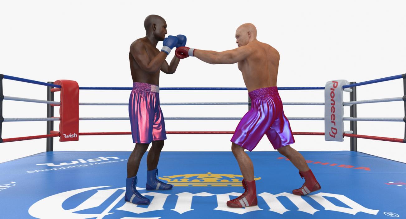 3D model Boxers Fighting In Boxing Ring