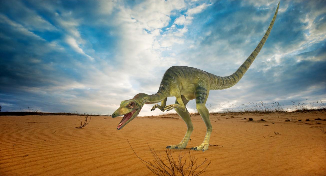 Compsognathus Dinosaur Rigged 3D model
