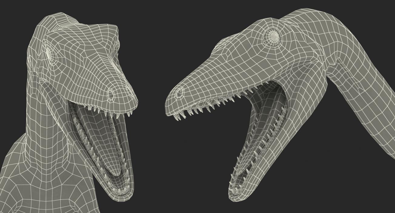 Compsognathus Dinosaur Rigged 3D model