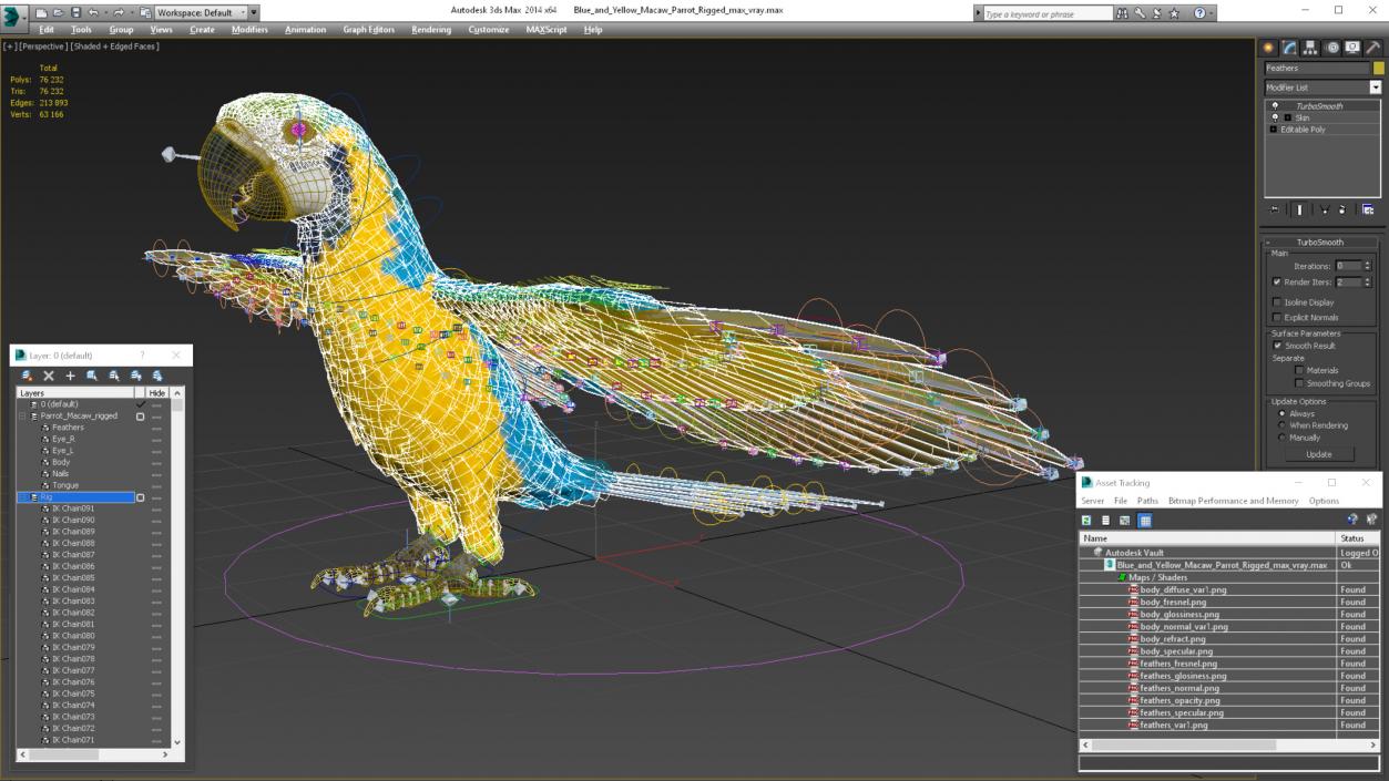 3D model Blue and Yellow Macaw Parrot Rigged