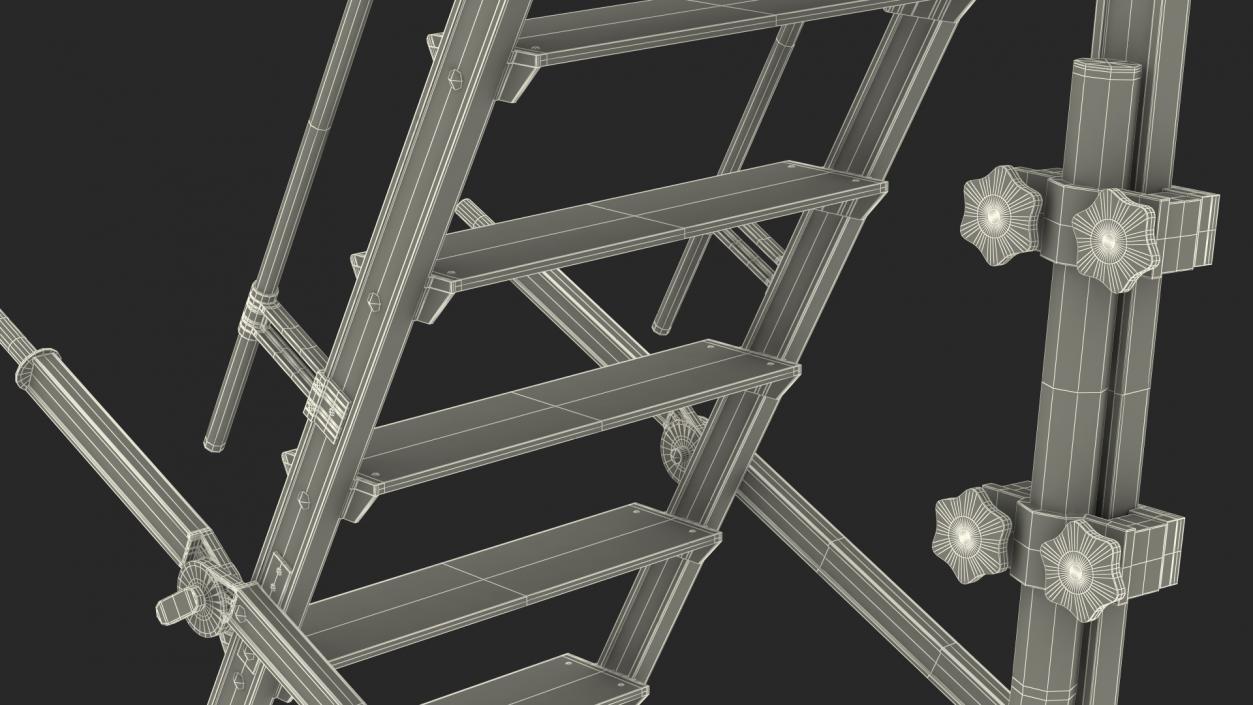 Folding Platform Ladder with Narrow Undercarriage 3D model