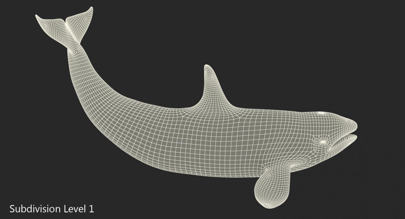 3D model Killer Whale Lies on the Floor