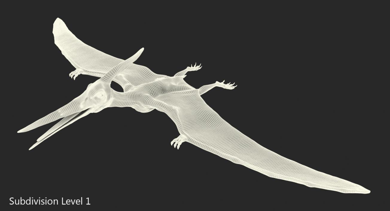 Pteranodon with Fur 3D model
