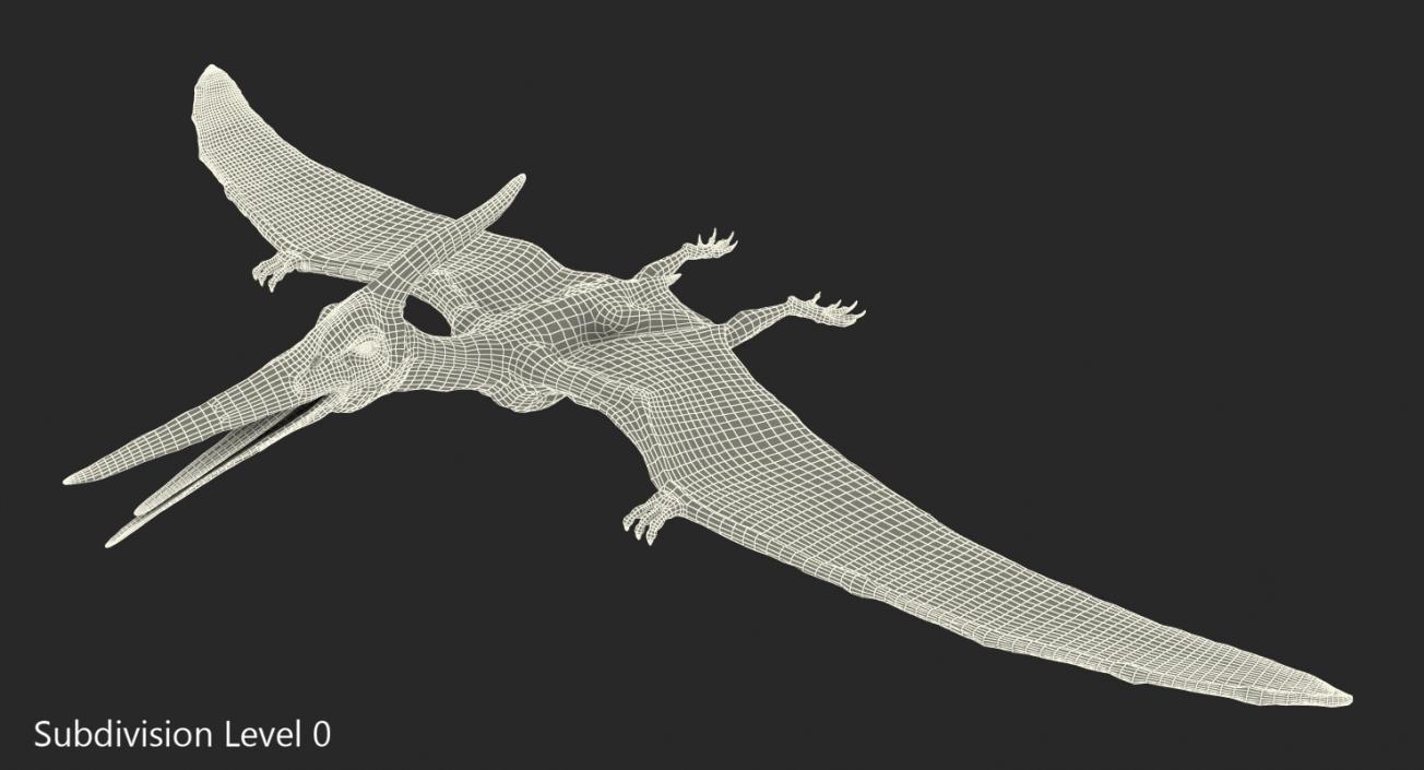 Pteranodon with Fur 3D model