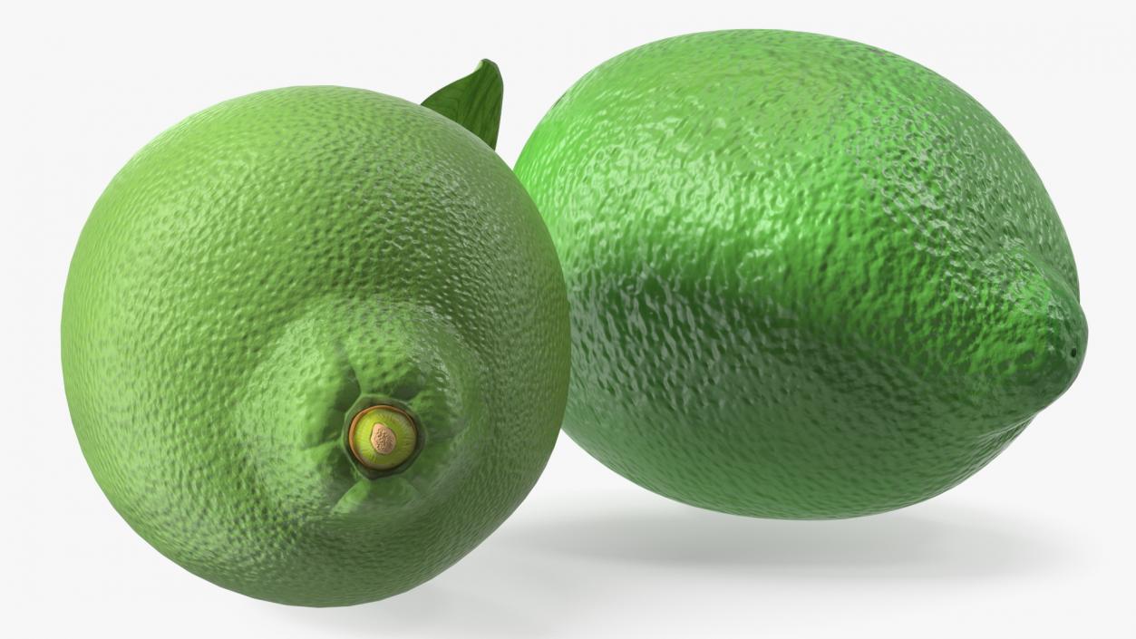 Plastic Green Lemon 3D model