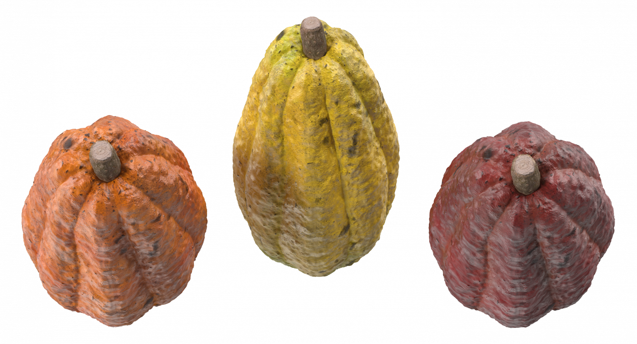 3D Cocoa Fruits Set
