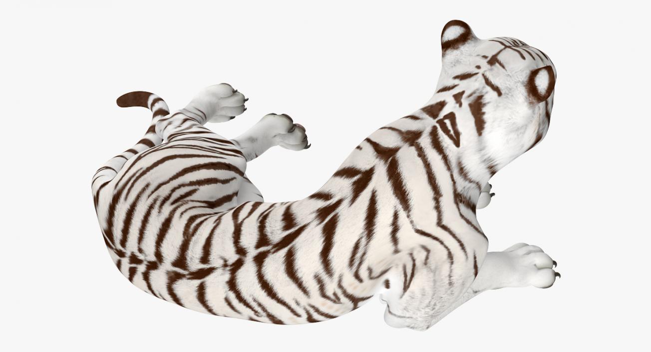 Lying White Tiger 3D