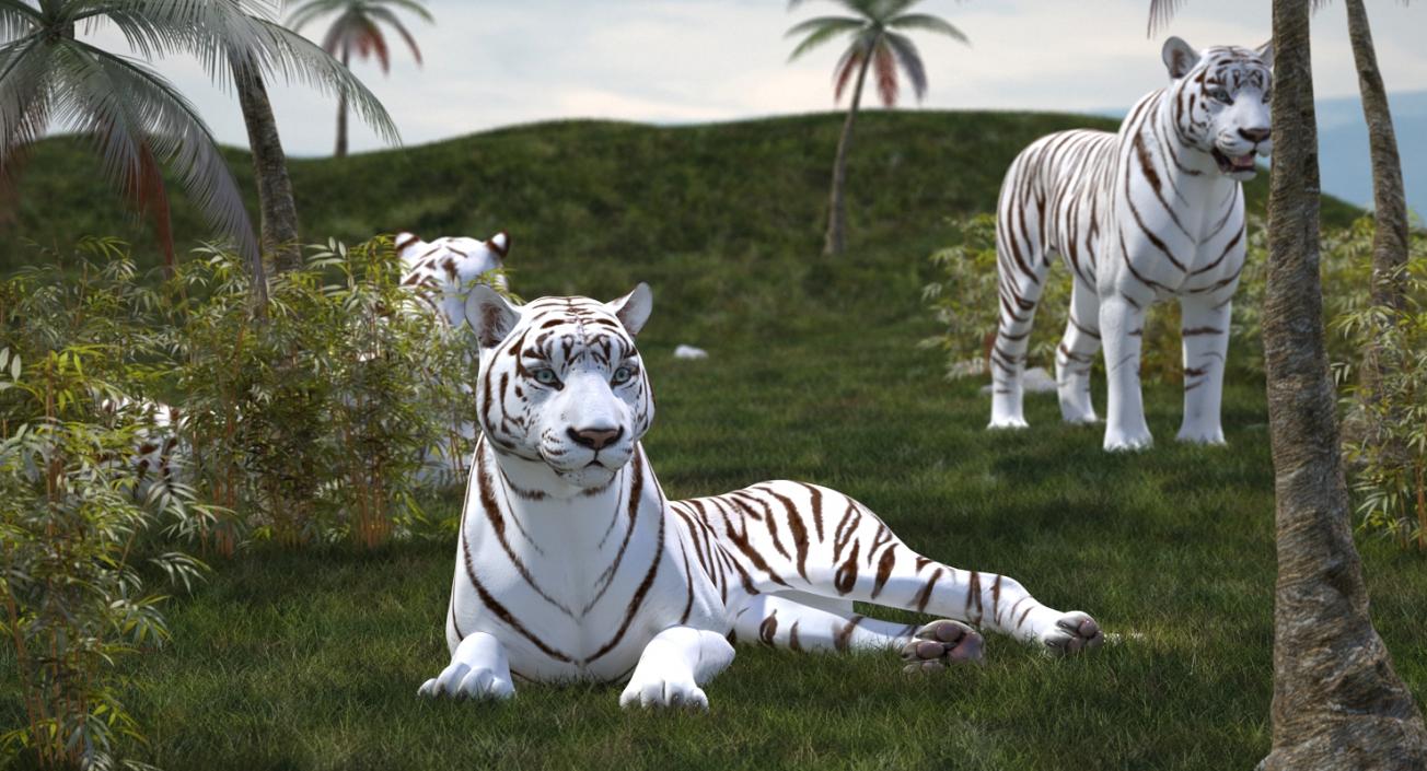 Lying White Tiger 3D