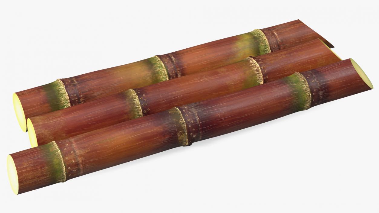 Brown Sugarcane Sticks 3D