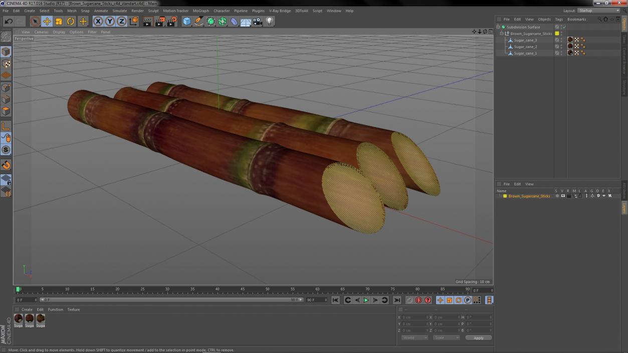 Brown Sugarcane Sticks 3D