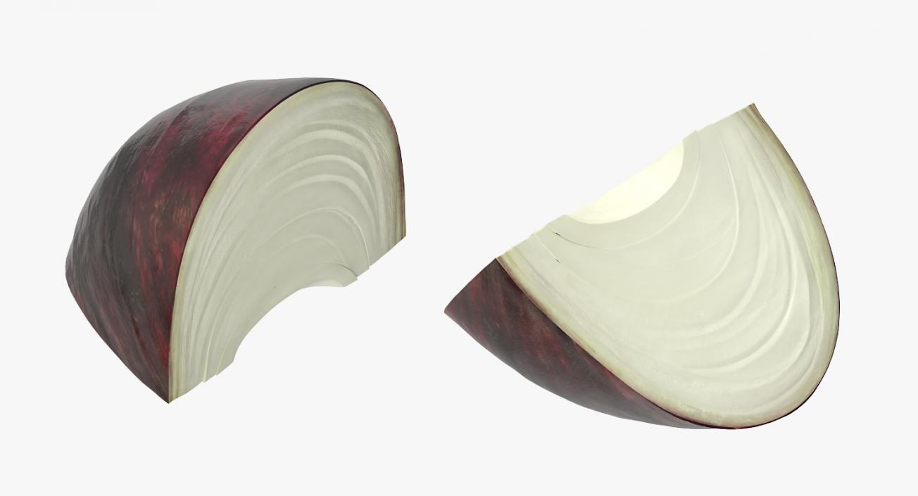 3D Red Onion Cross Section model