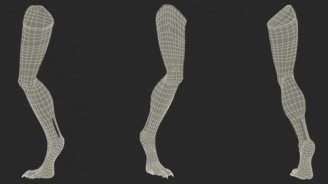 3D Scary Creature Leg model