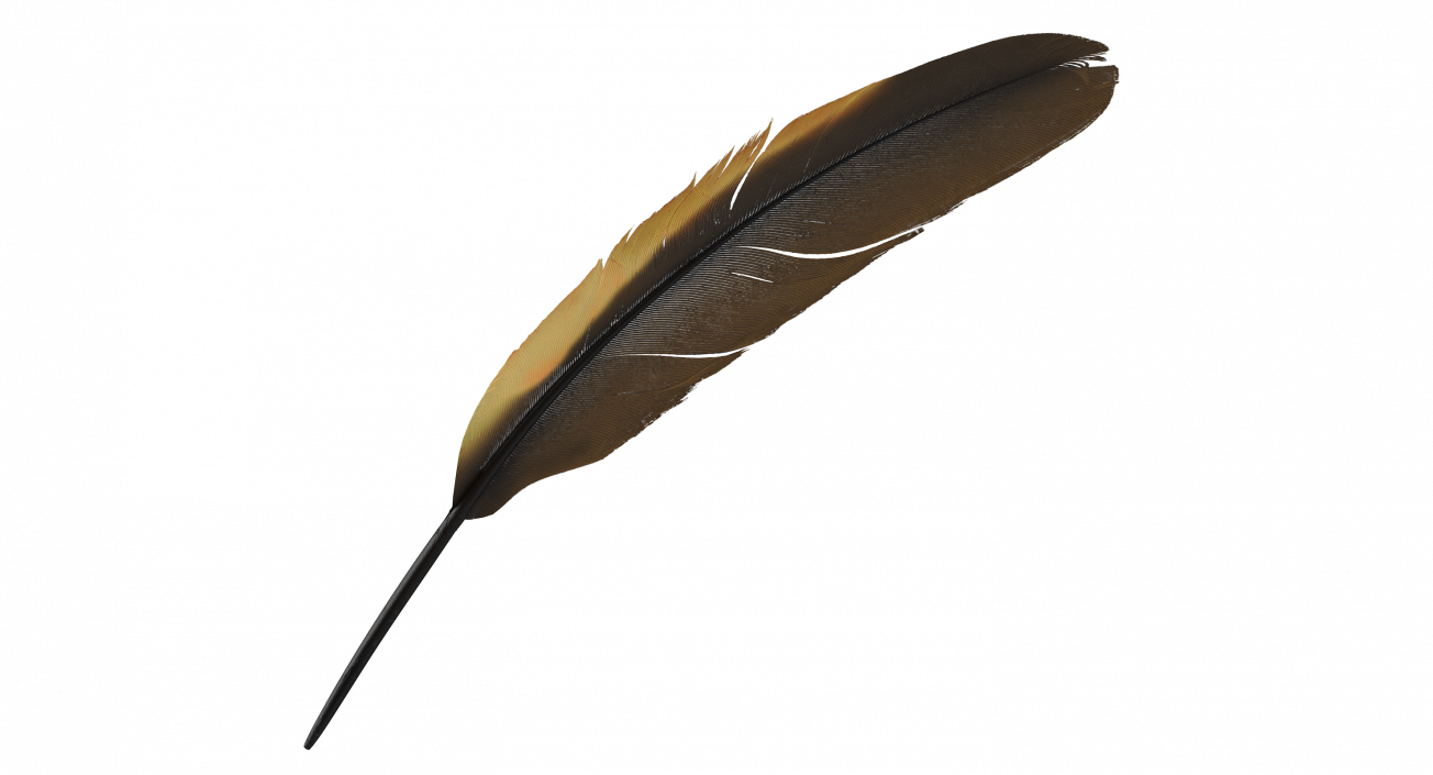 3D Dark Gold Goose Feather model