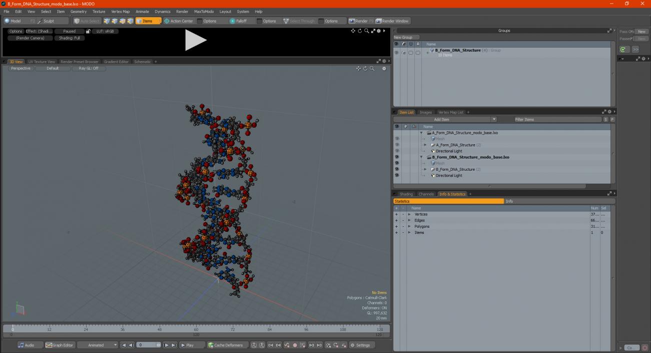 3D model B Form DNA Structure