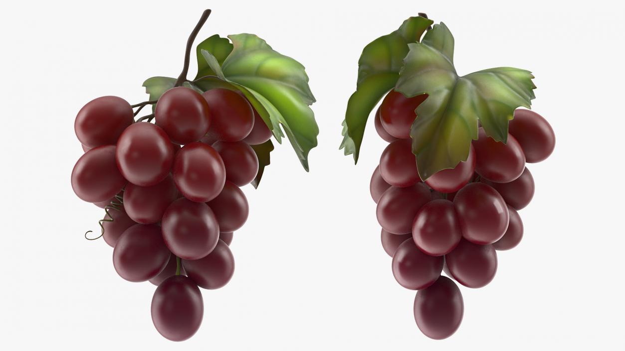 3D model Bunch of Fresh Red Grapes
