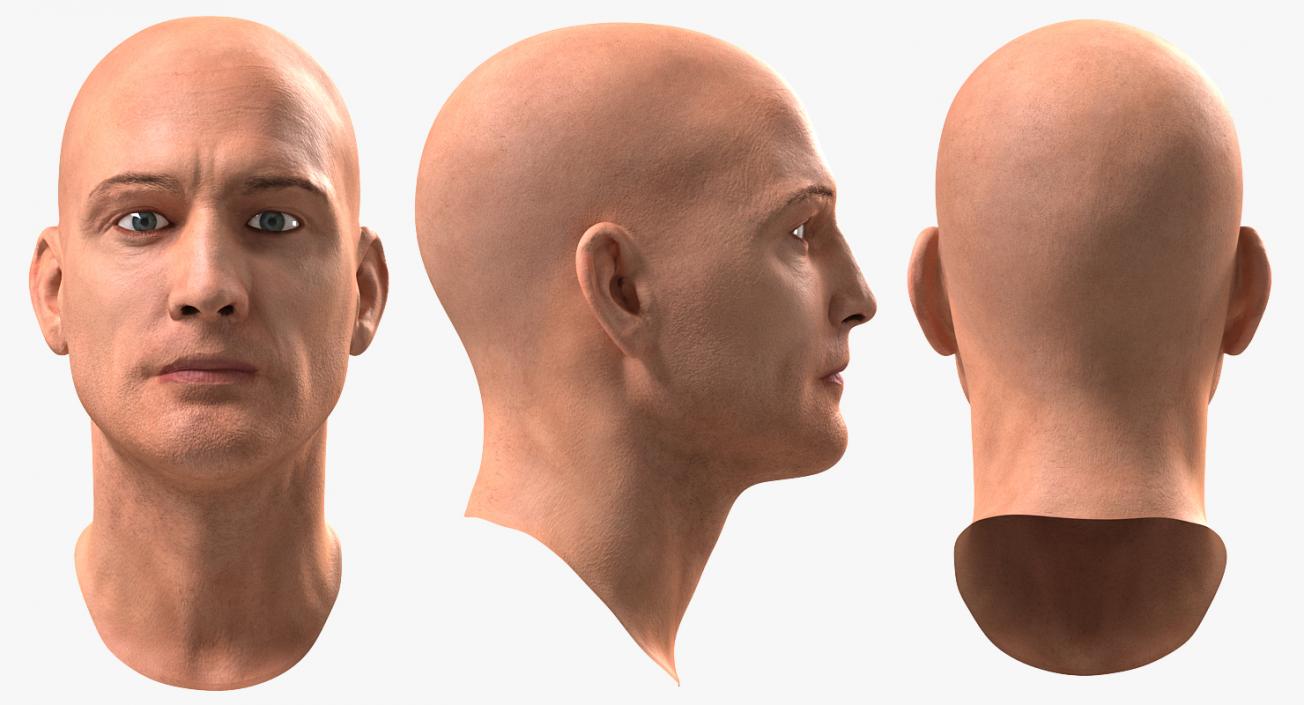 3D Male Head 6 Rigged model